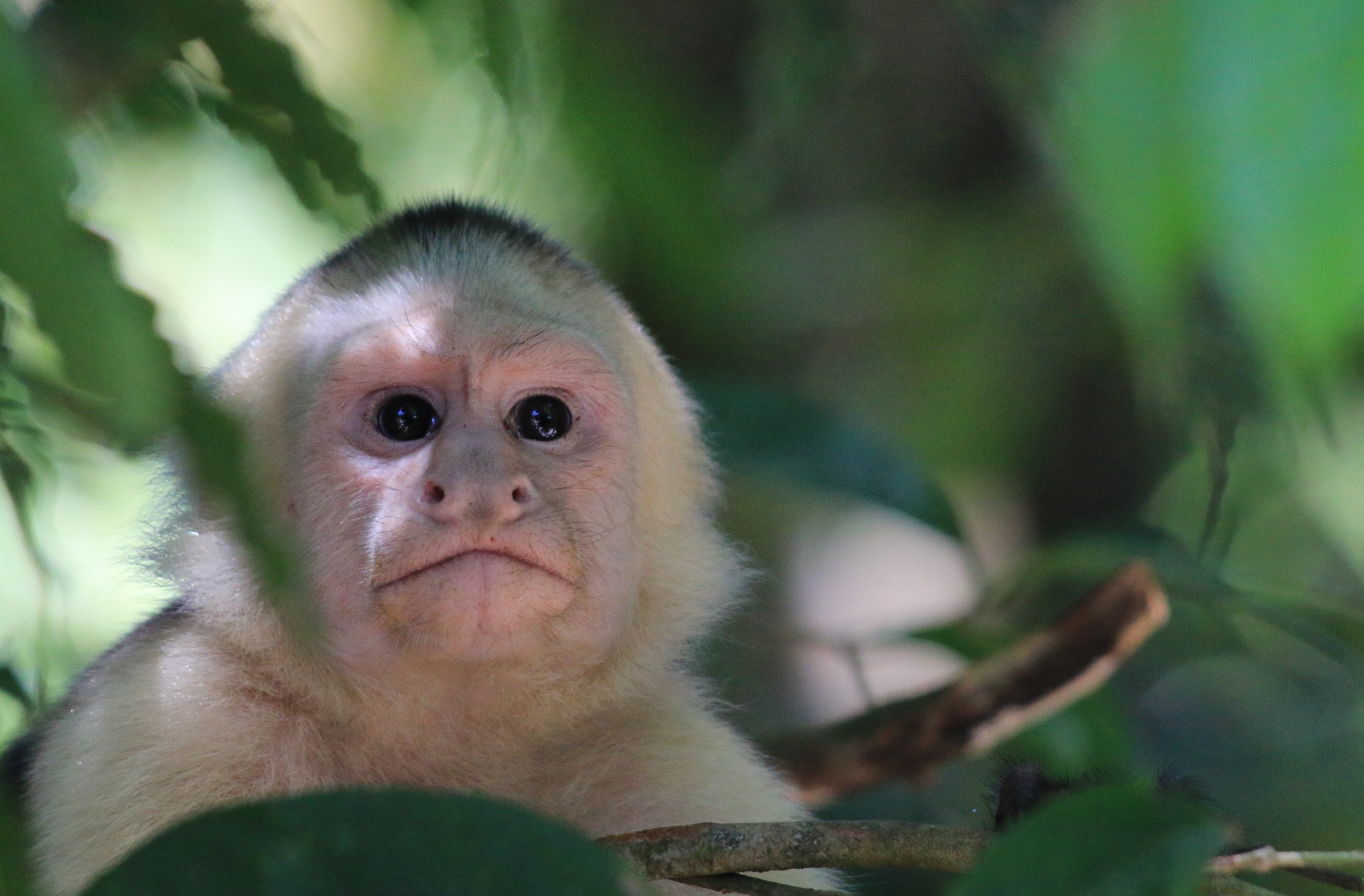 Costa Rica
